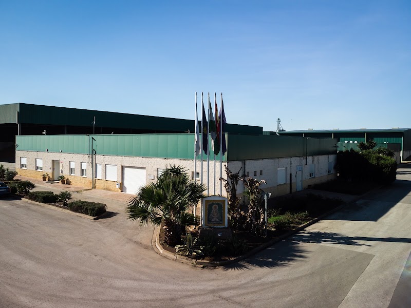 Cooperativa Oleícola El Milagrito