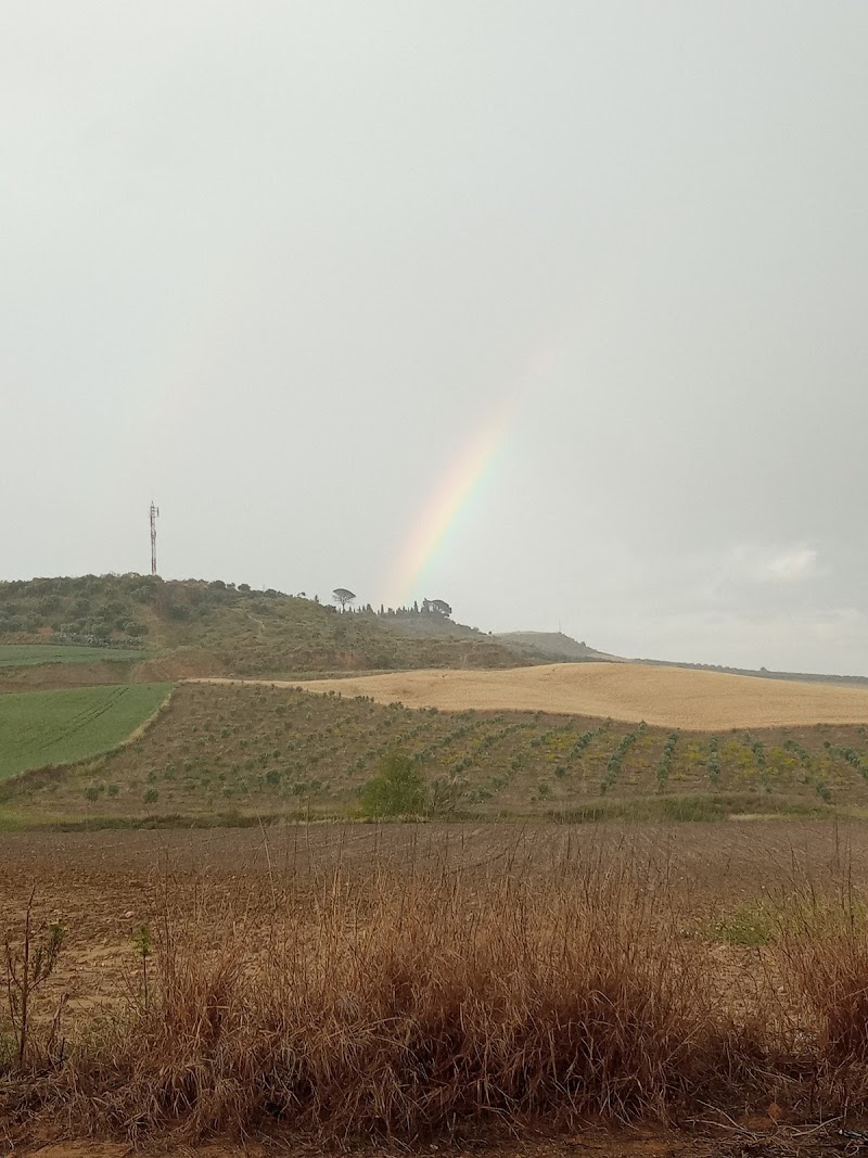 Vía Verde de Los Alcores